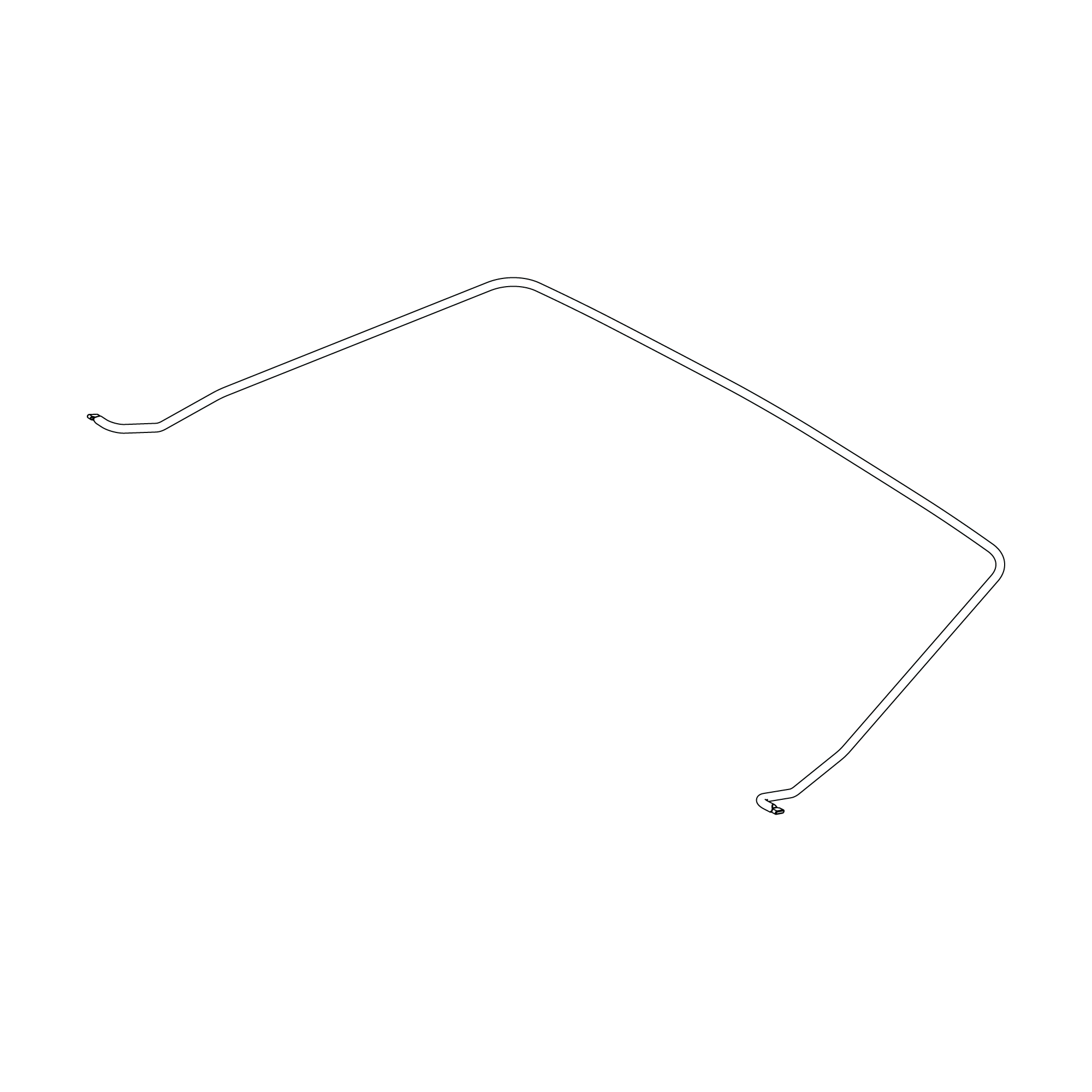 Cargo bag hoop