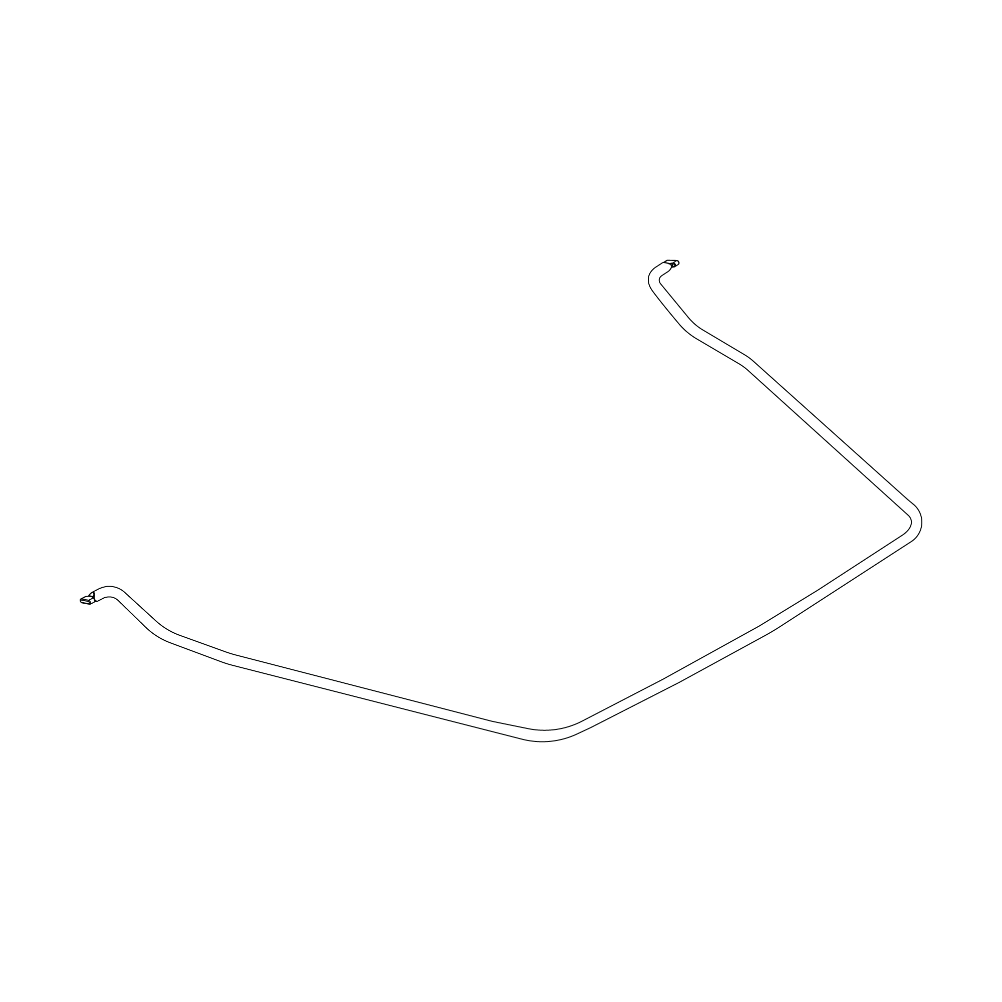 Cargo bag hoop